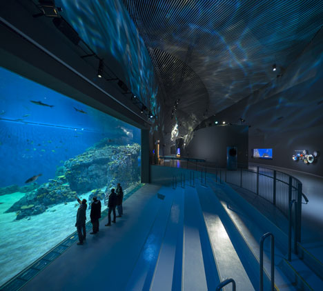 the stunning blue planet aquarium